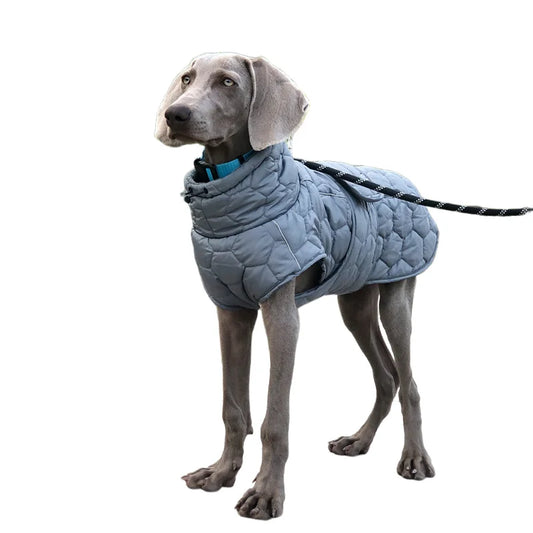  Large breed dog wearing a cozy reflective snowsuit for winter protection.