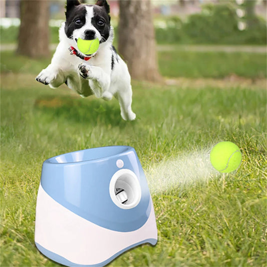 Automatic dog ball launcher for interactive playtime, perfect for keeping dogs active and entertained.