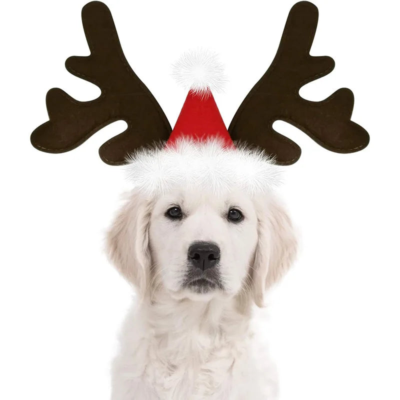 Dog reindeer antlers accessory, perfect for festive holiday and Christmas celebrations